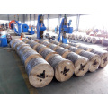 Overhead Hot Dipped Galvanized Steel Reinforced ACSR Wire